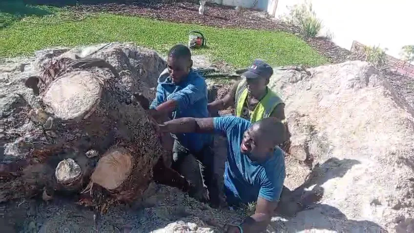 Rubble removal job in Cape Town — recent project 4